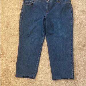 Gloria Vanderbilt Amanda  Blue Denim Jeans 18W